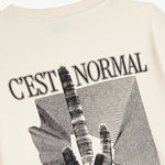 The Oversized Printed T-shirt in cream — close-up of the cactus and C'est normal graphic