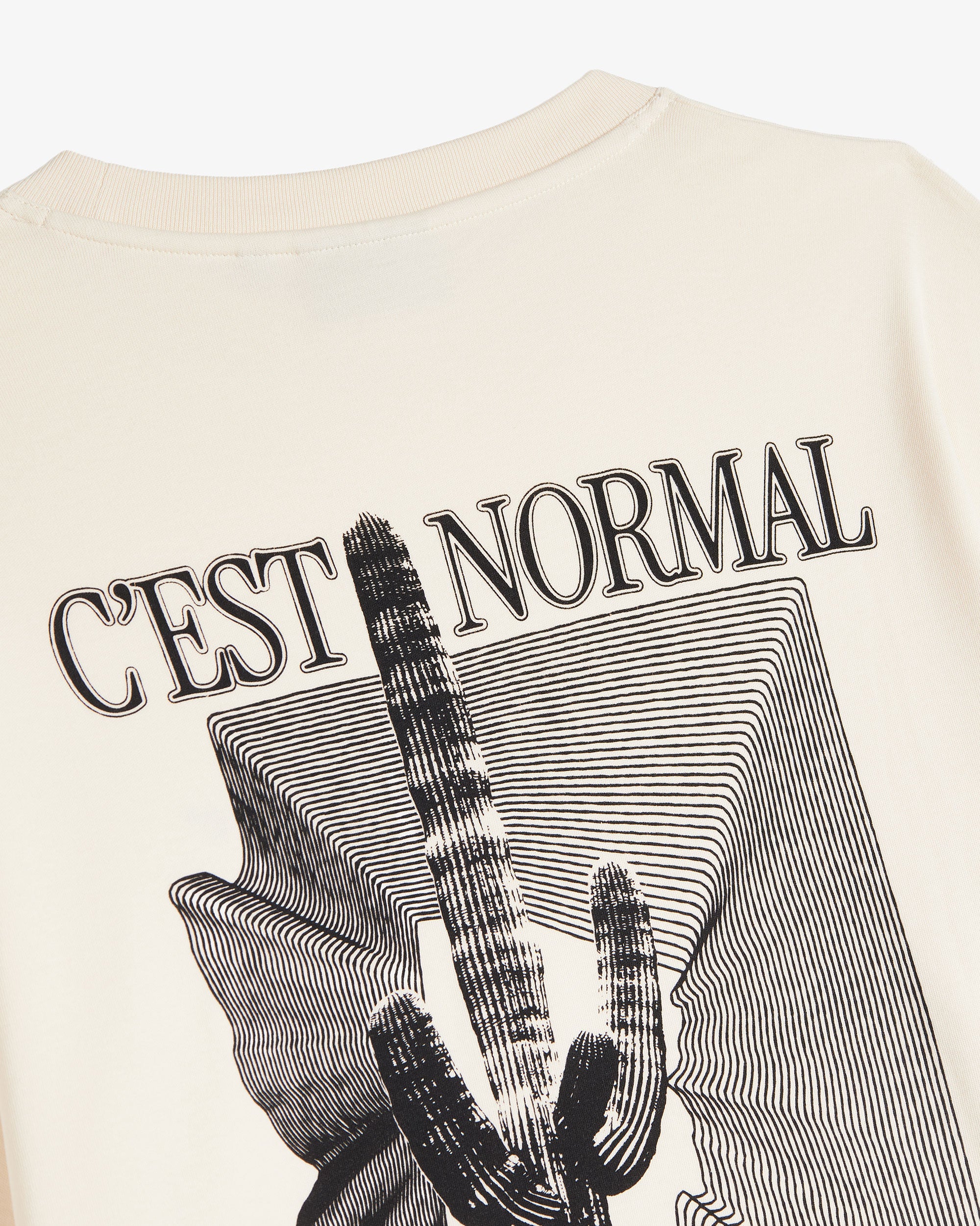 The Oversized Printed T-shirt in cream — close-up of the cactus and C'est normal graphic