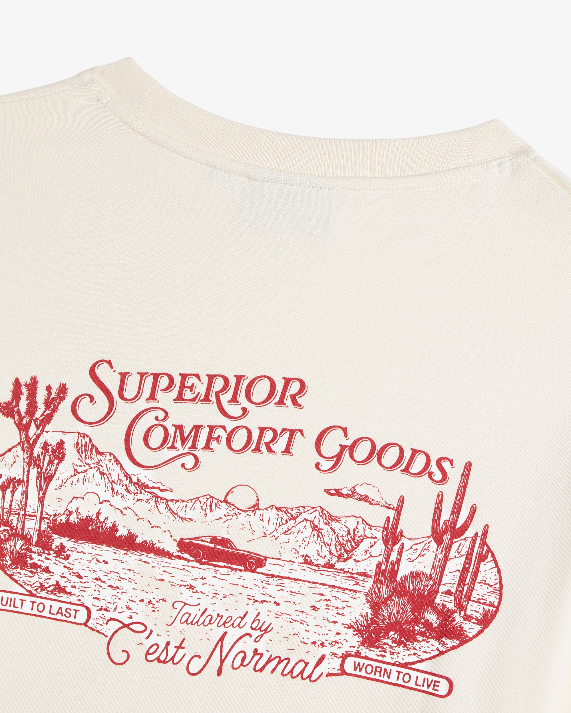 The Oversized Printed T-shirt in cream — close-up of the red desert graphic on the back