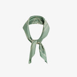 The Silk Scarf