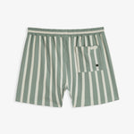 The Shorts in Lombok Stripe — back view with a single buttoned pocket