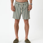 The Shorts in Lombok Stripe — featuring vertical green and beige stripes