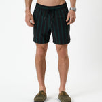 The Shorts in Phantom Stripe — front view showing the vertical stripe pattern