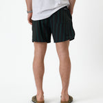 The Shorts in Phantom Stripe — back view showing the vertical stripes and back pocket